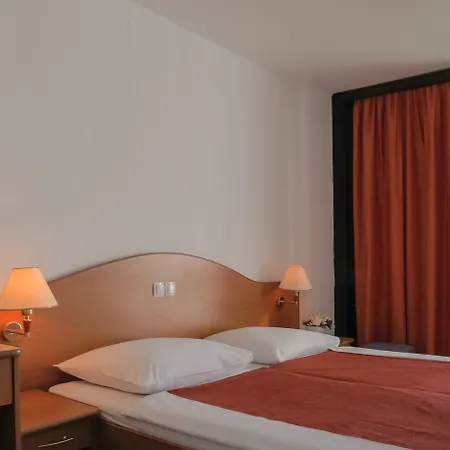 International Hotel 2*