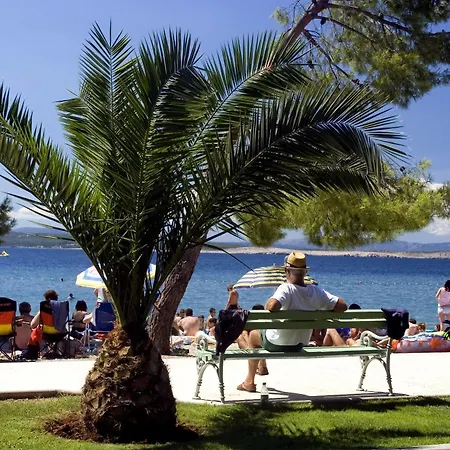 International 2* Crikvenica