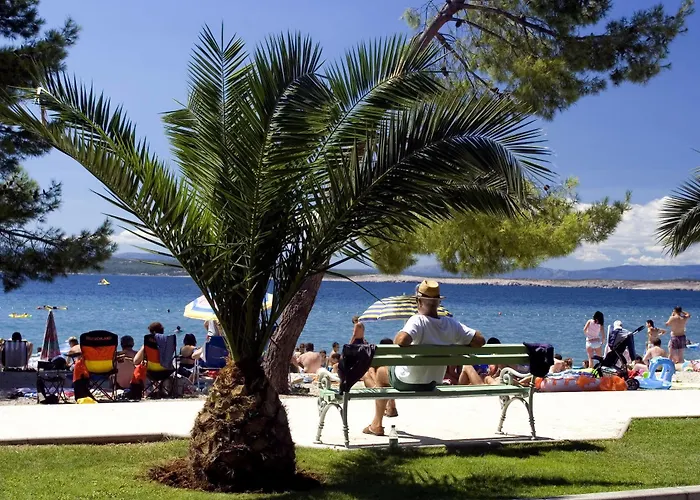 International 2* Crikvenica