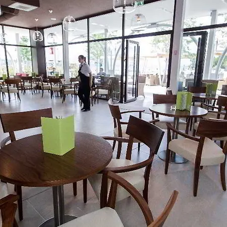 International 2* تْسْغيكفانِتْسا