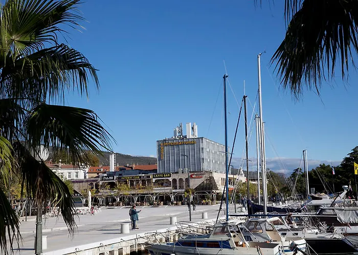 International 2* 茨里克韦尼察