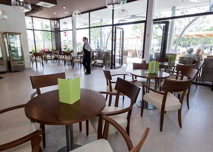 International 2* 茨里克韦尼察