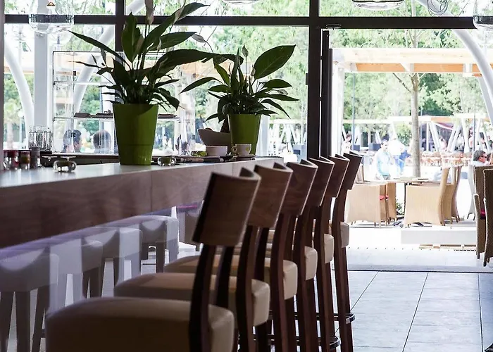 酒店 International 茨里克韦尼察