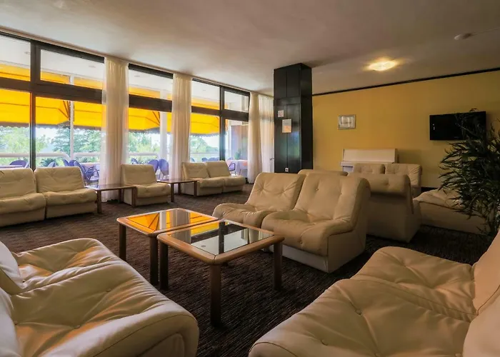 International 茨里克韦尼察